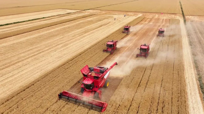 LETOU - 乐投(中文)官方网站